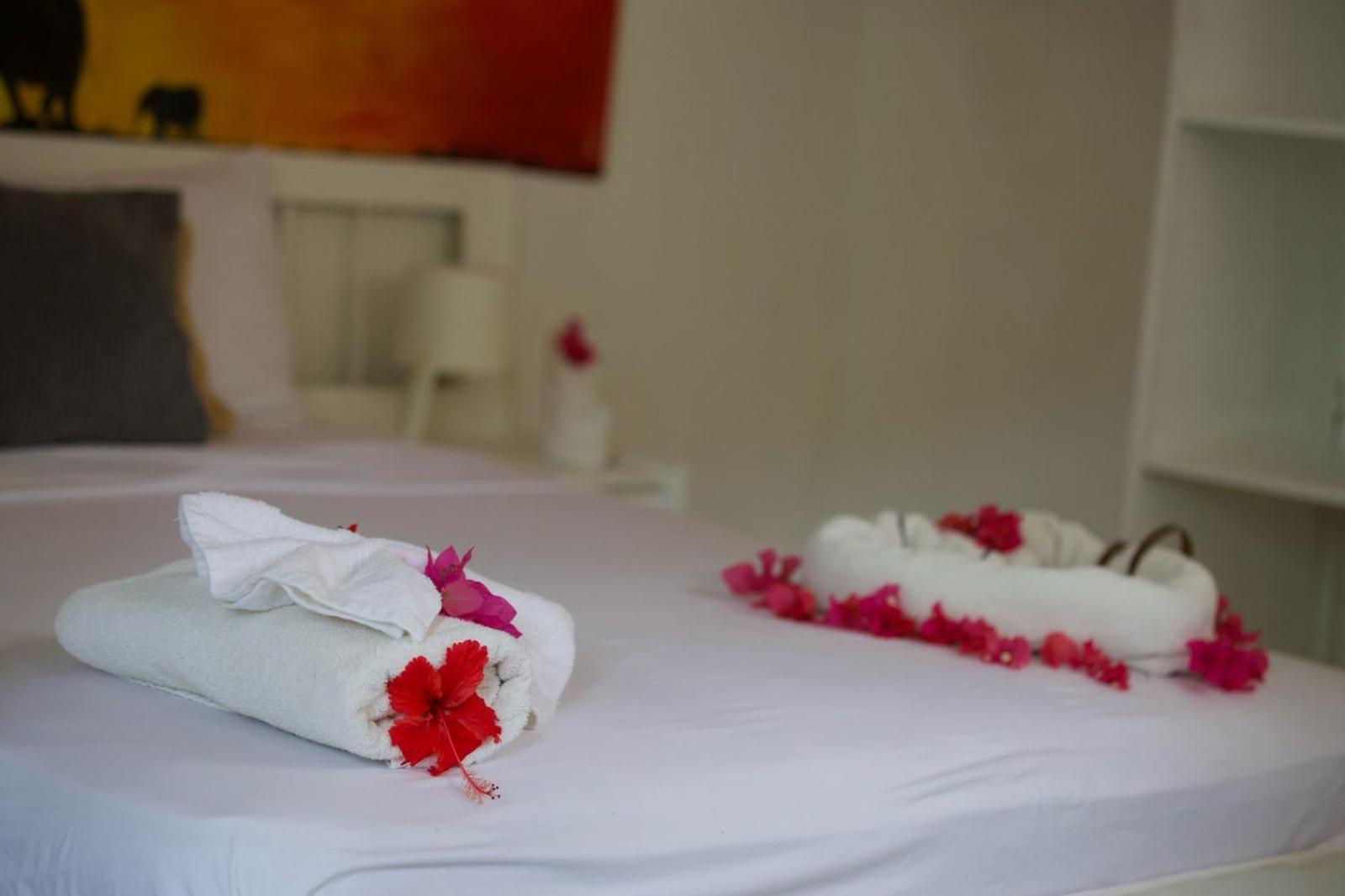 Afreeka Beach Hotel Las Terrenas Esterno foto